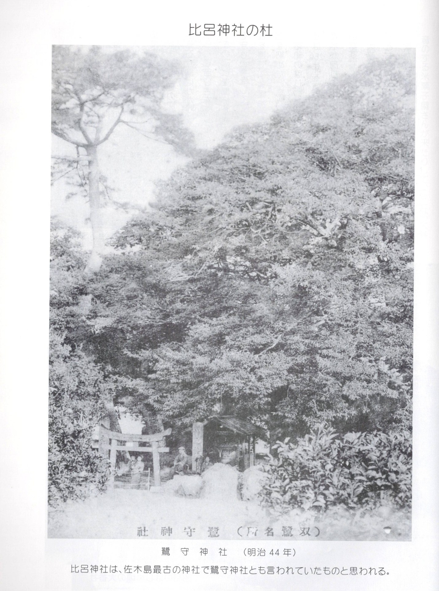 The grove of Hiro Shrine, c.1969, said to be the oldest shrine on Sagishima / 比呂神社の杜（昭和44年）。佐木島最古の神社とされる。さぎしま讃歌 p.141