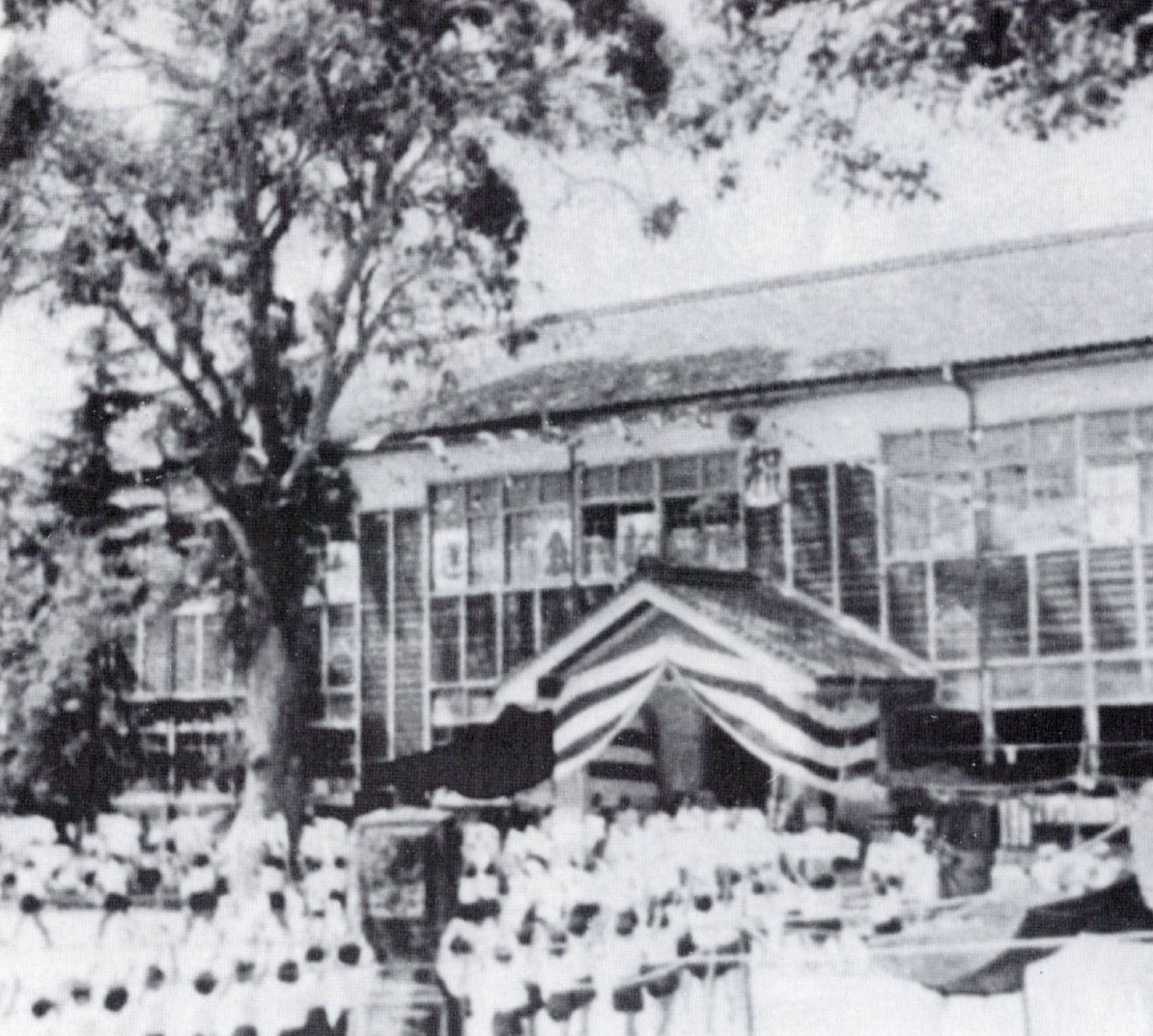Mukōda Elementary School's 80th-anniversary field day, 1954; the great eucalyptus by the entrance was planted when the schoolhouse was rebuilt in 1911 / 向田小学校八十周年記念運動会（昭和29年・1954）。玄関脇の大ユーカリは明治44年の校舎新築時に植えられた。さぎしま讃歌 p.144