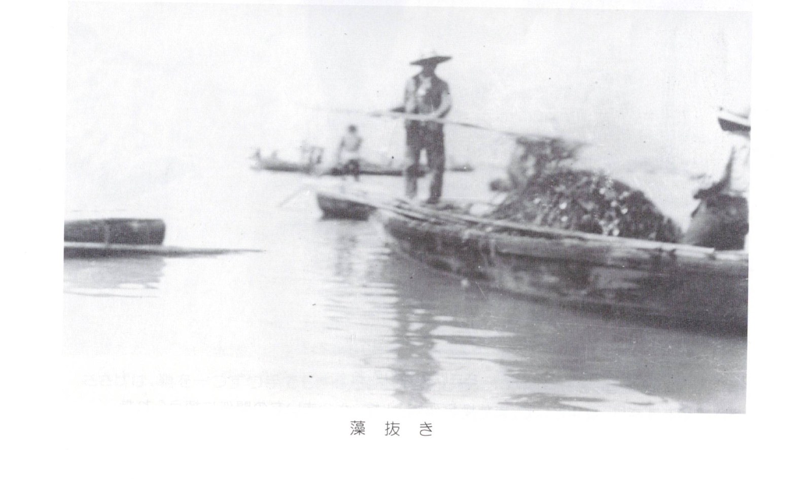 Gathering seaweed by boat for use as fertilizer (mo-nuki); local supply fell short, so fleets ranged east to Matsunaga Bay and west off Tadanoumi / 肥料にする藻を舟で採る（藻抜き）。地元の藻では足りず、船団は東は松永湾、西は忠海沖まで出た。さぎしま讃歌 p.46
