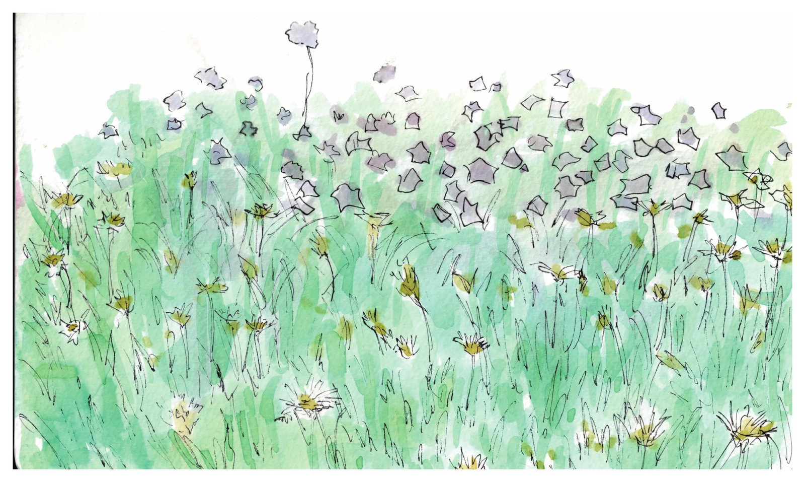 A summer meadow of island wildflowers. Watercolor, Square group, 2026. / 島の野の花が咲く夏の草地。水彩、Squareグループ、2026年。