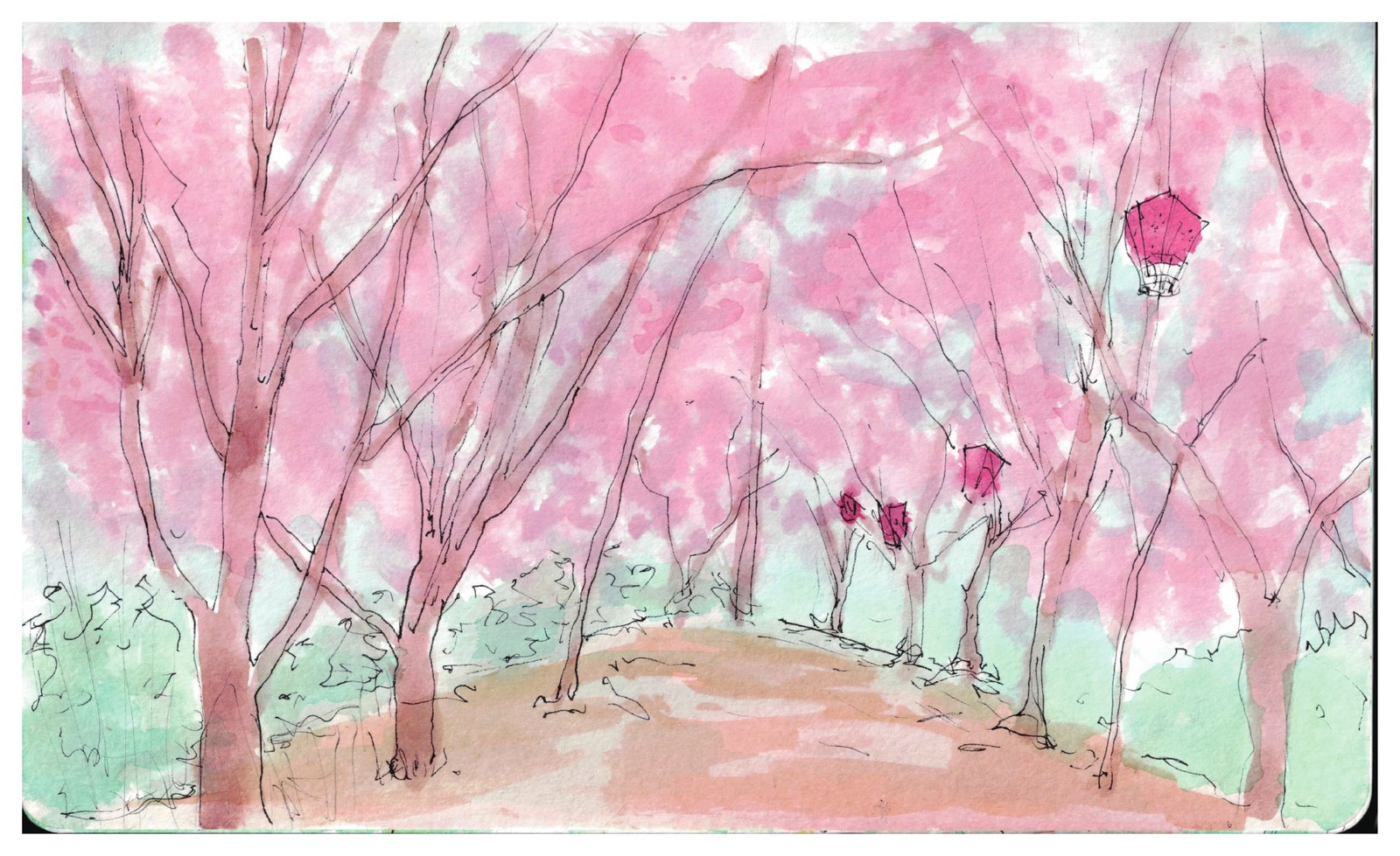 Cherry blossoms along an island path in spring. / 春、島の小道沿いの桜。