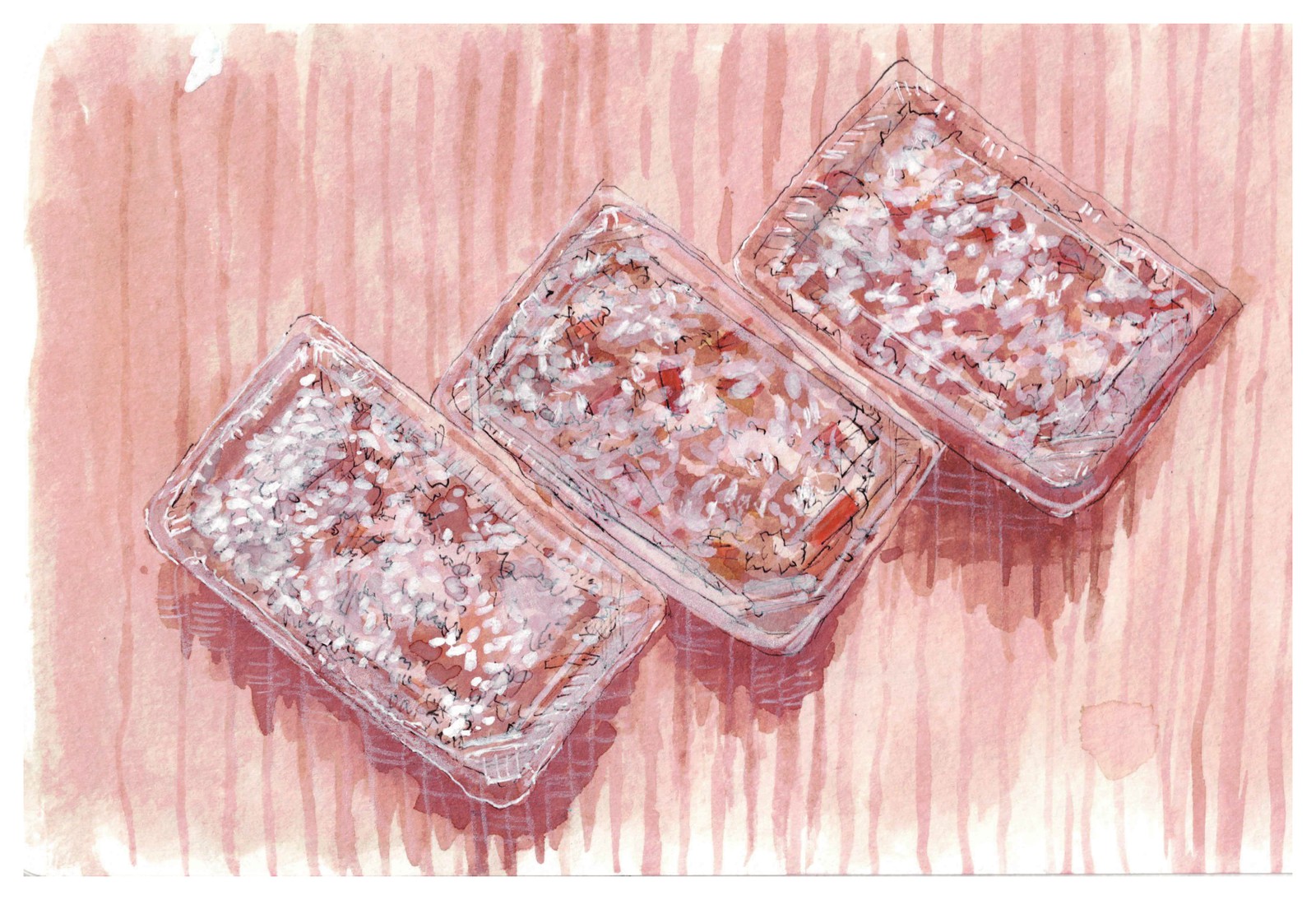 Packed portions of red rice, ready to be carried to neighbors. / パックに詰めた赤飯。近所へ届けるために用意されたもの。