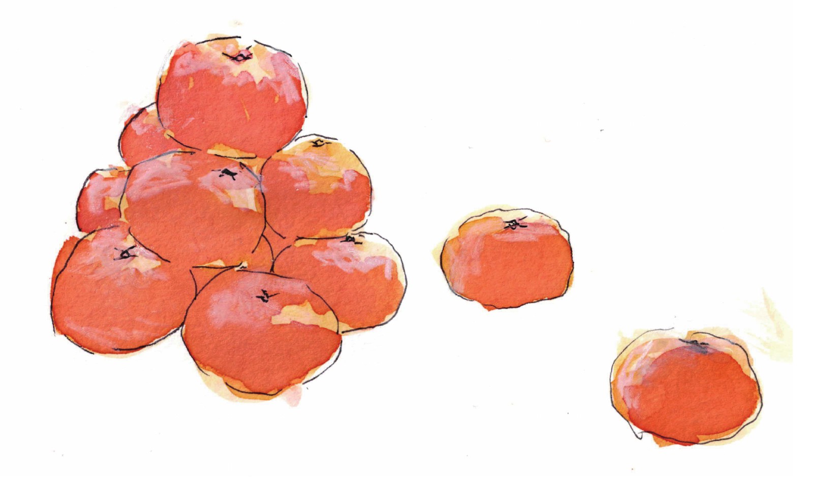 Mandarins (mikan), one of the island's signature citrus crops. / 島を代表する柑橘のひとつ、ミカン。