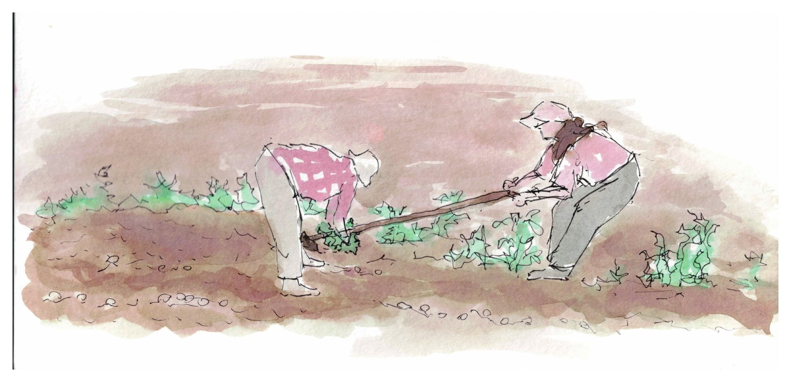 Two people working a field together, the everyday shape of island mutual aid. / 二人で畑を耕す。島の助け合いの日常の姿。